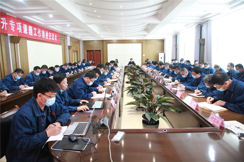 公司召開工作提升專項課題工作推進交流會_副本.jpg