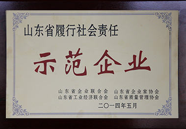山東省履行社會責任示范企業